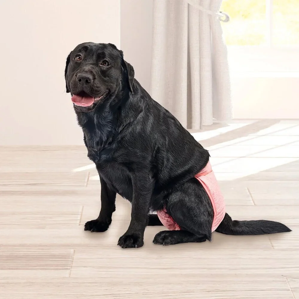 Vibrant Life Washable Dog Diapers for Female Dogs, Size L 20-27